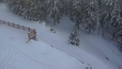 Přístup na běžeckou trať