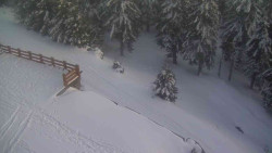 Přístup na běžeckou trať