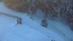 Přístup na běžeckou trať