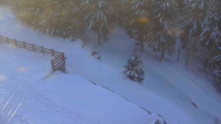 Přístup na běžeckou trať