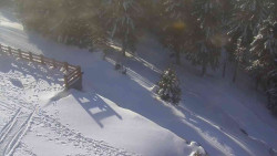 Přístup na běžeckou trať