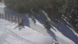 Přístup na běžeckou trať