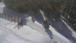 Přístup na běžeckou trať