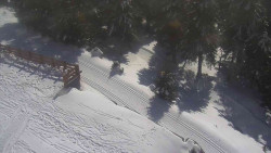 Přístup na běžeckou trať