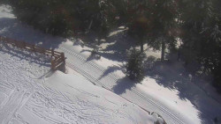 Přístup na běžeckou trať