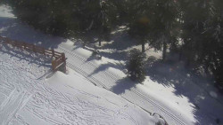 Přístup na běžeckou trať