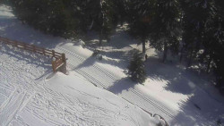 Přístup na běžeckou trať