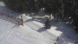 Přístup na běžeckou trať