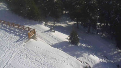 Přístup na běžeckou trať