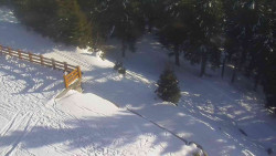 Přístup na běžeckou trať