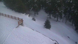 Přístup na běžeckou trať