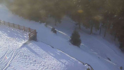 Přístup na běžeckou trať