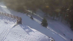 Přístup na běžeckou trať