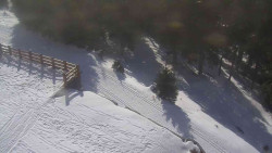 Přístup na běžeckou trať