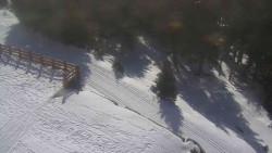 Přístup na běžeckou trať