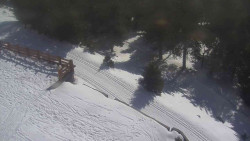 Přístup na běžeckou trať