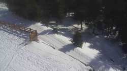 Přístup na běžeckou trať