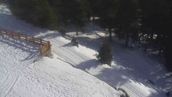 Přístup na běžeckou trať