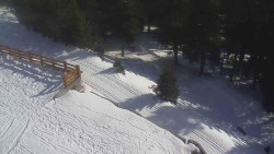 Přístup na běžeckou trať