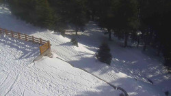 Přístup na běžeckou trať