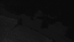 Přístup na běžeckou trať