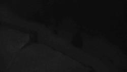 Přístup na běžeckou trať