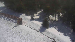 Přístup na běžeckou trať