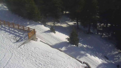 Přístup na běžeckou trať