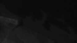 Přístup na běžeckou trať