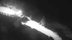 Přístup na běžeckou trať