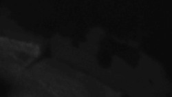 Přístup na běžeckou trať