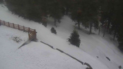 Přístup na běžeckou trať