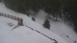 Přístup na běžeckou trať