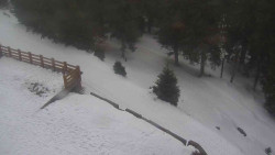 Přístup na běžeckou trať