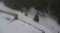 Přístup na běžeckou trať