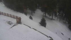 Přístup na běžeckou trať