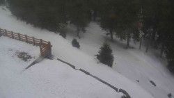 Přístup na běžeckou trať