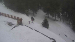 Přístup na běžeckou trať