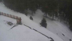 Přístup na běžeckou trať