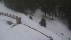 Přístup na běžeckou trať