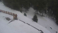 Přístup na běžeckou trať