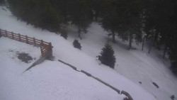 Přístup na běžeckou trať