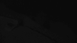 Přístup na běžeckou trať