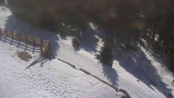 Přístup na běžeckou trať