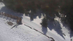 Přístup na běžeckou trať