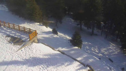 Přístup na běžeckou trať