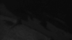 Přístup na běžeckou trať