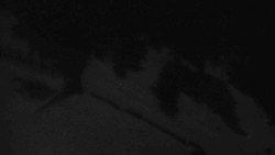 Přístup na běžeckou trať