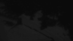 Přístup na běžeckou trať