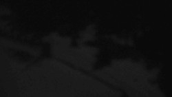 Přístup na běžeckou trať